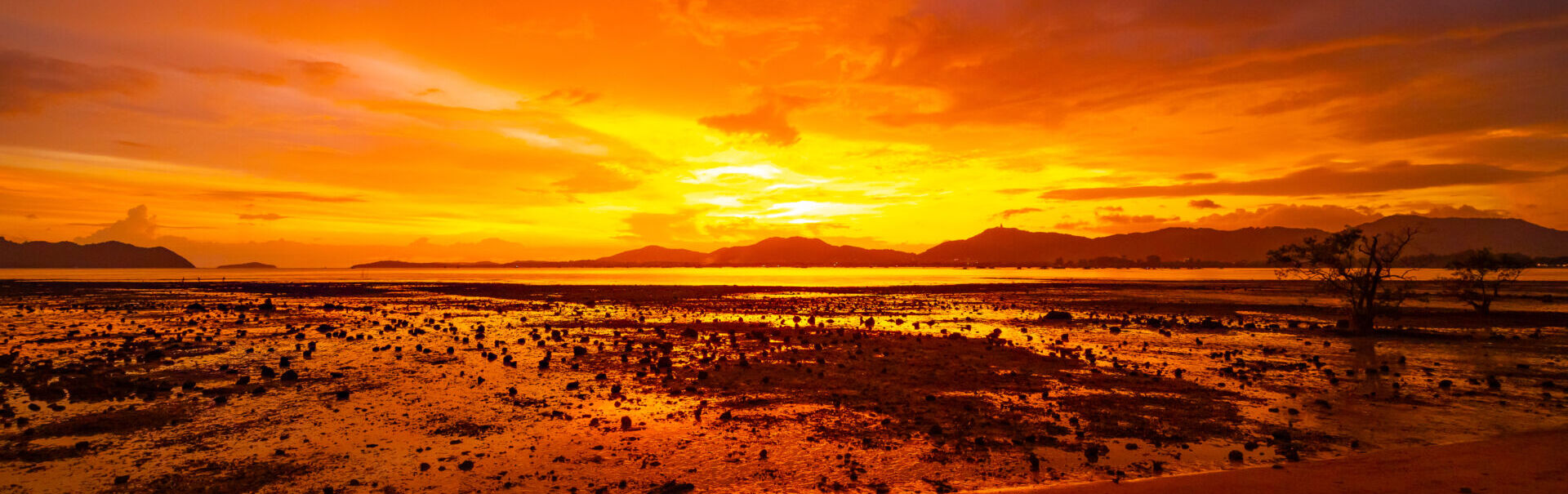 Sovereign Australia AI Launches $10M Copyright Fund to Train Ethical, Home-Grown Models