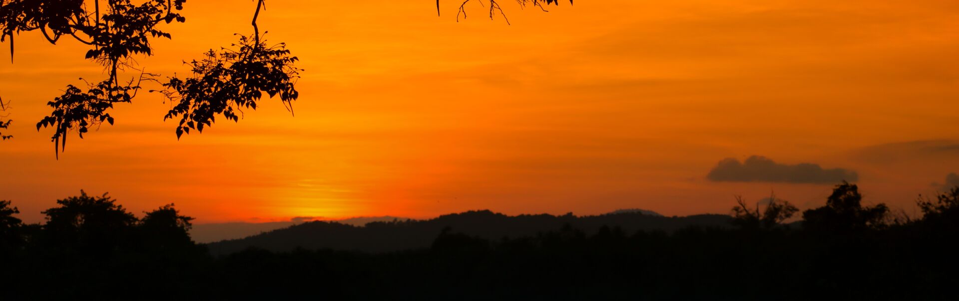 ‘We can do it for under $100m’: Start-up joins race to build local ChatGPT